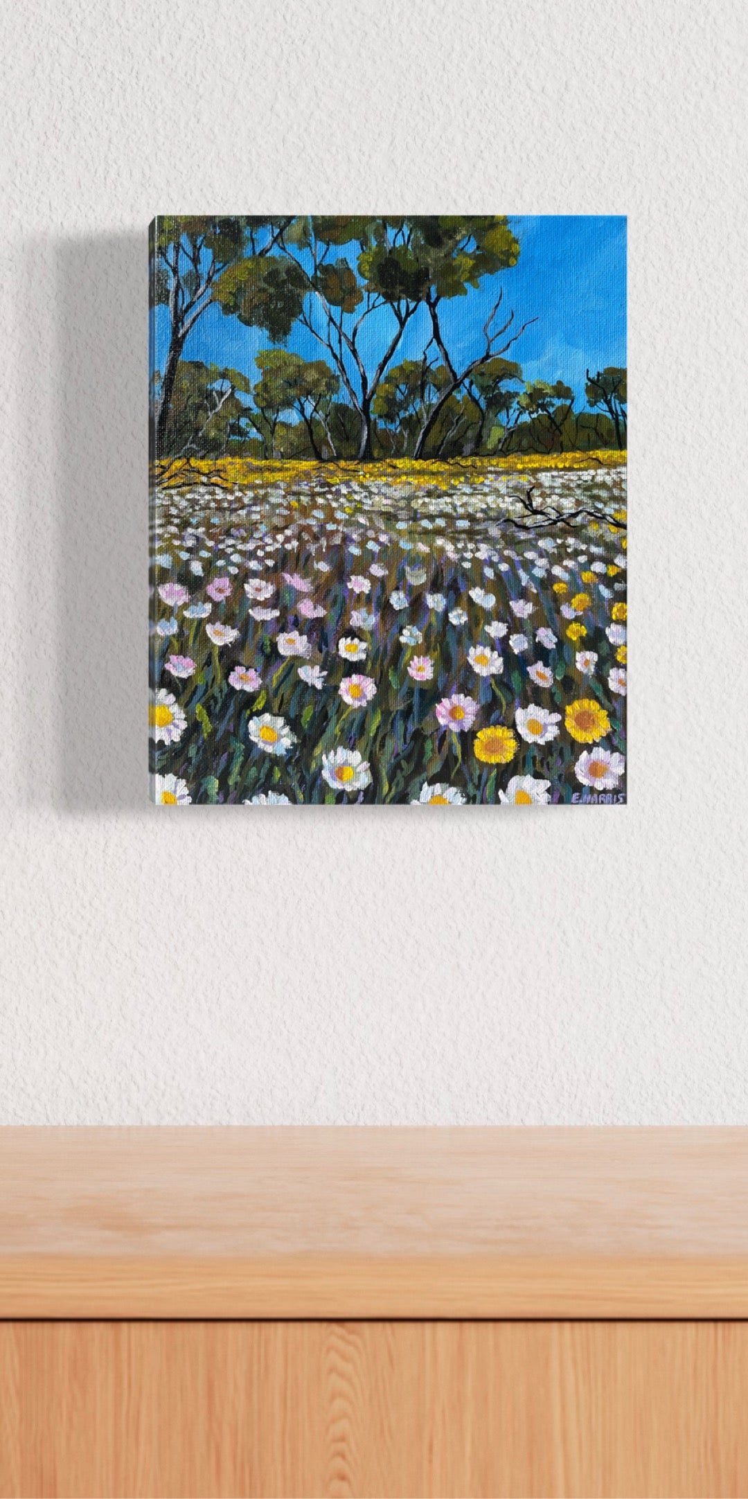 Coalseam mini #1