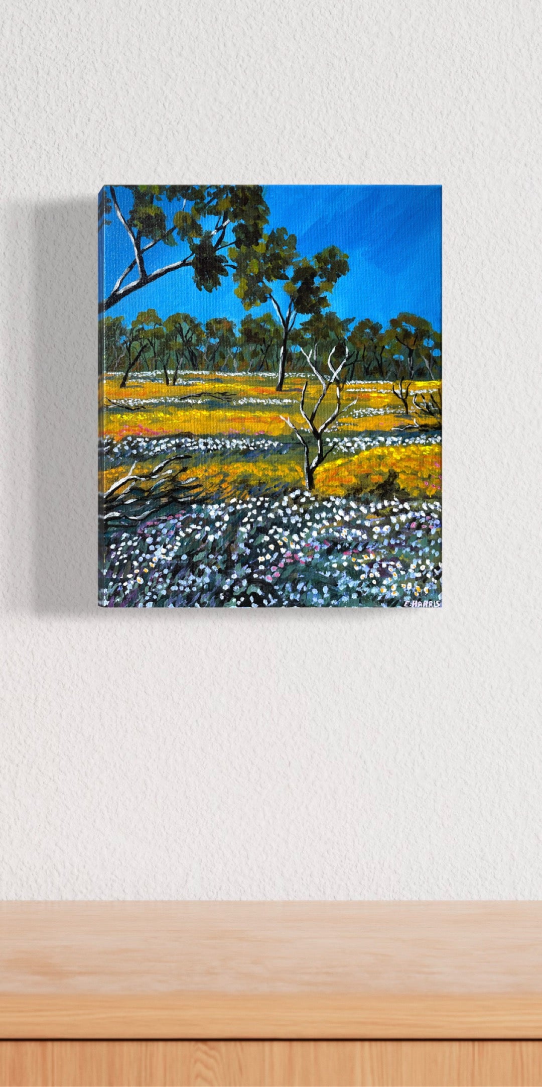 Coalseam mini #4