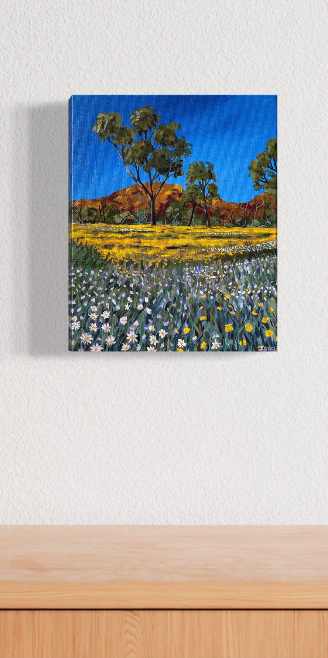 Coalseam mini #3