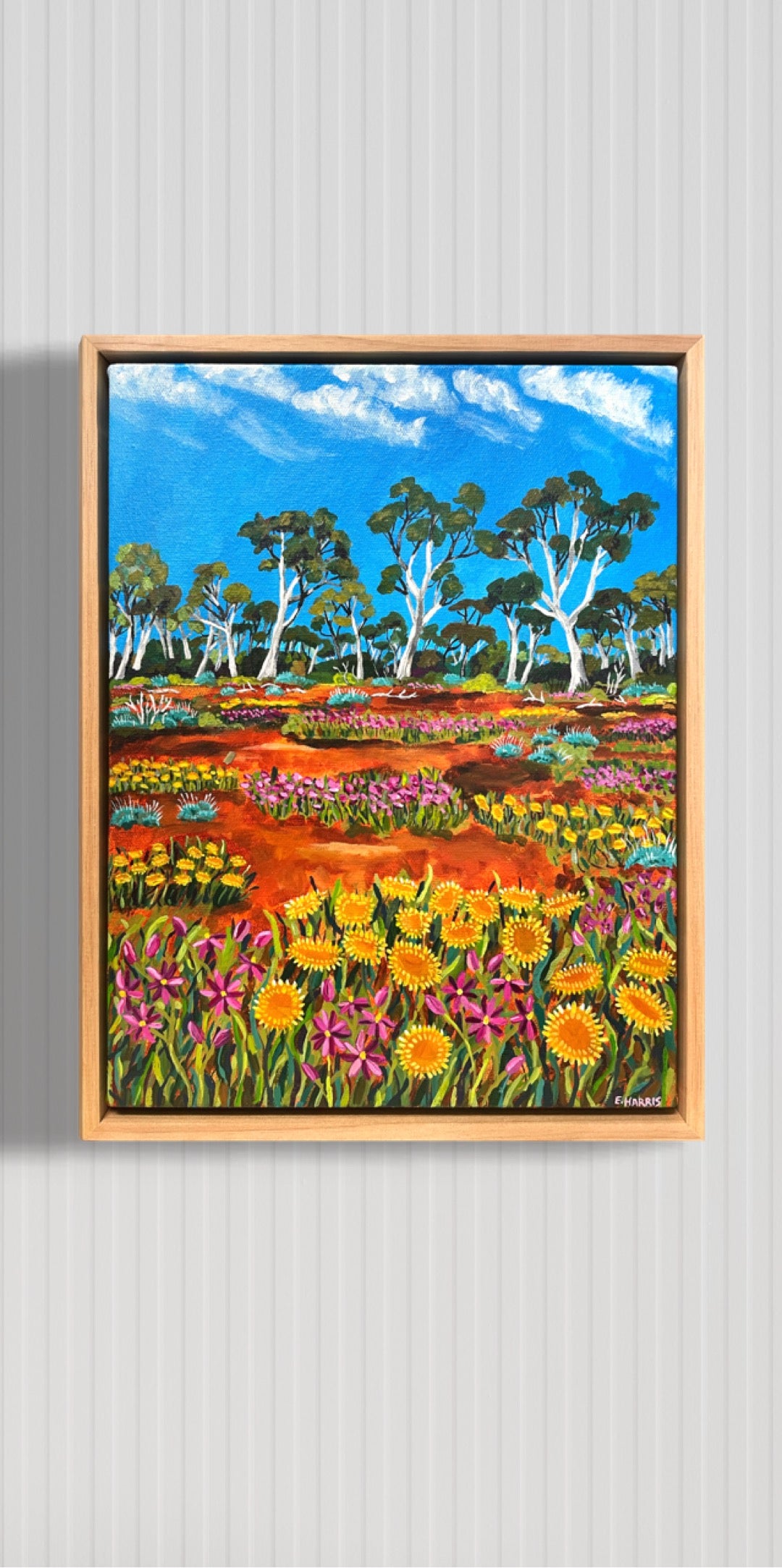 Spring in the wheatbelt